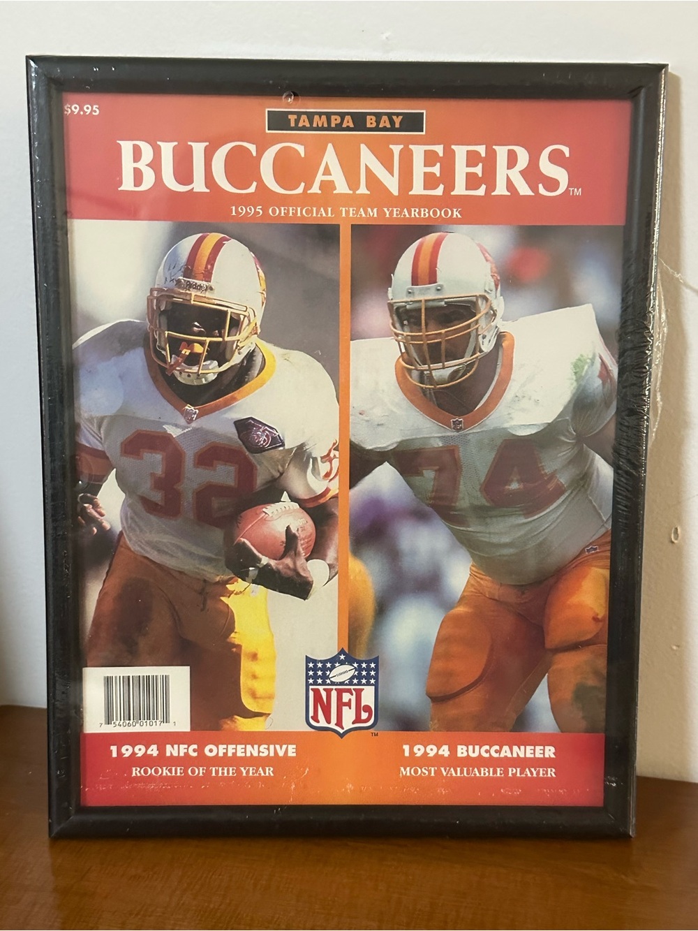 Vintage 1995 Tampa Bay Buccaneers Framed Team Yearbook